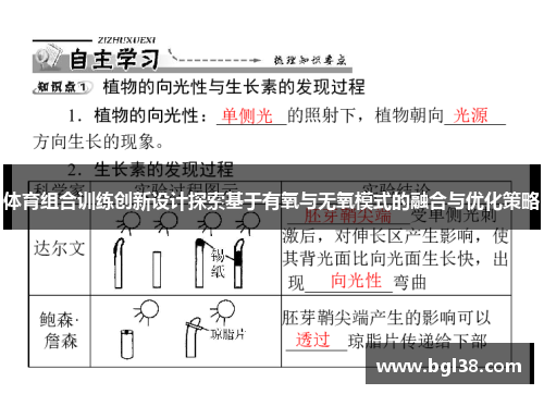 体育组合训练创新设计探索基于有氧与无氧模式的融合与优化策略